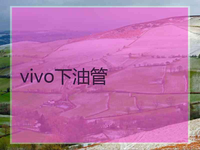 vivo下油管