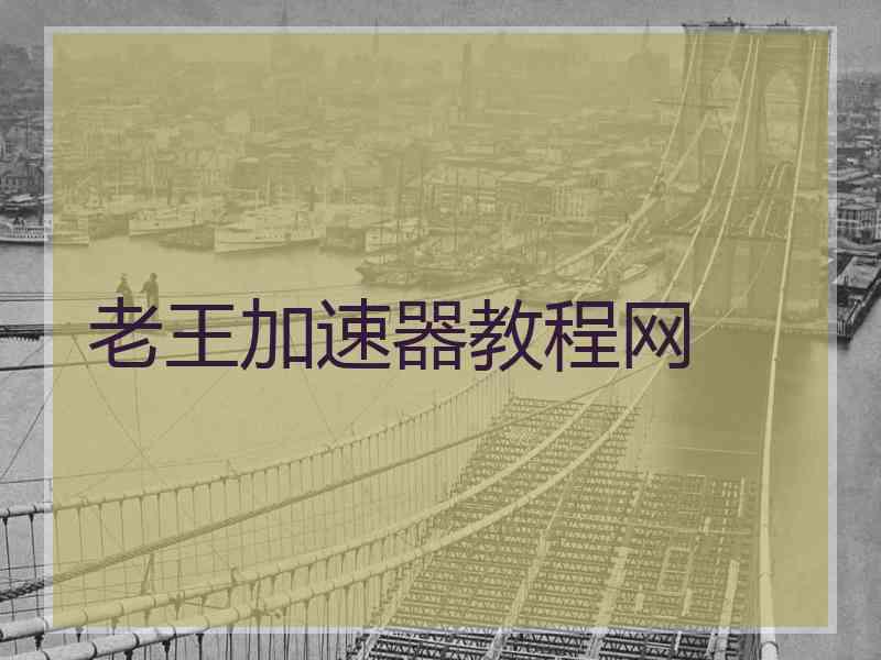 老王加速器教程网