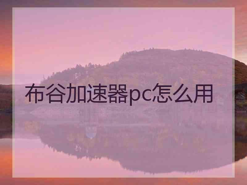 布谷加速器pc怎么用