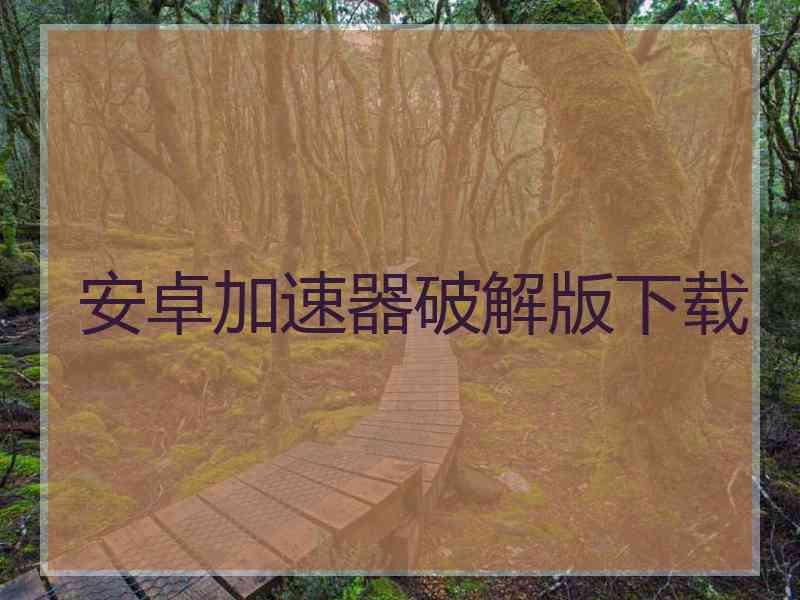 安卓加速器破解版下载