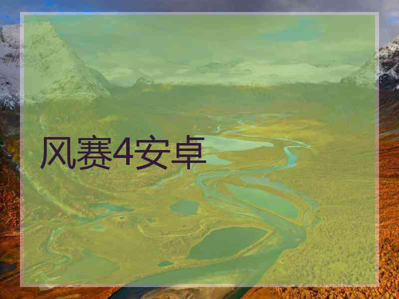风赛4安卓