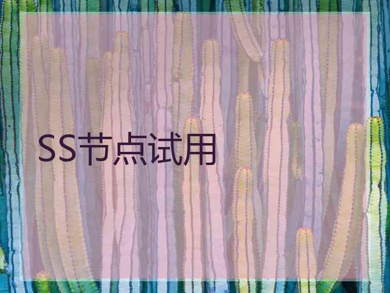 SS节点试用
