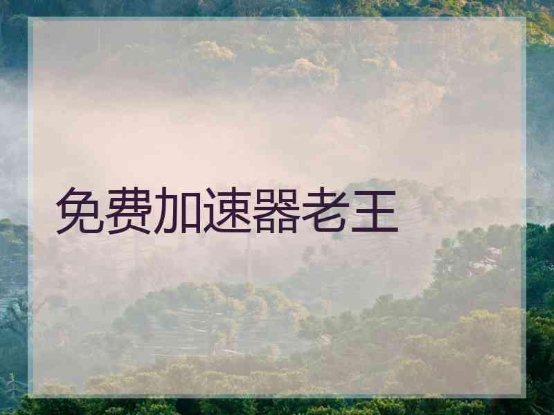 免费加速器老王