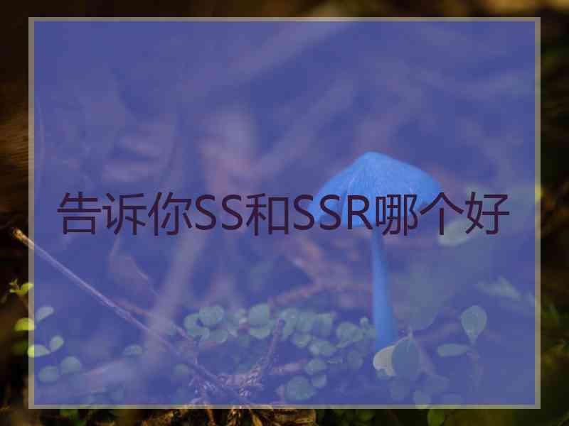 告诉你SS和SSR哪个好