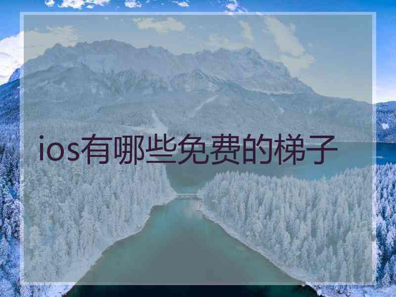 ios有哪些免费的梯子