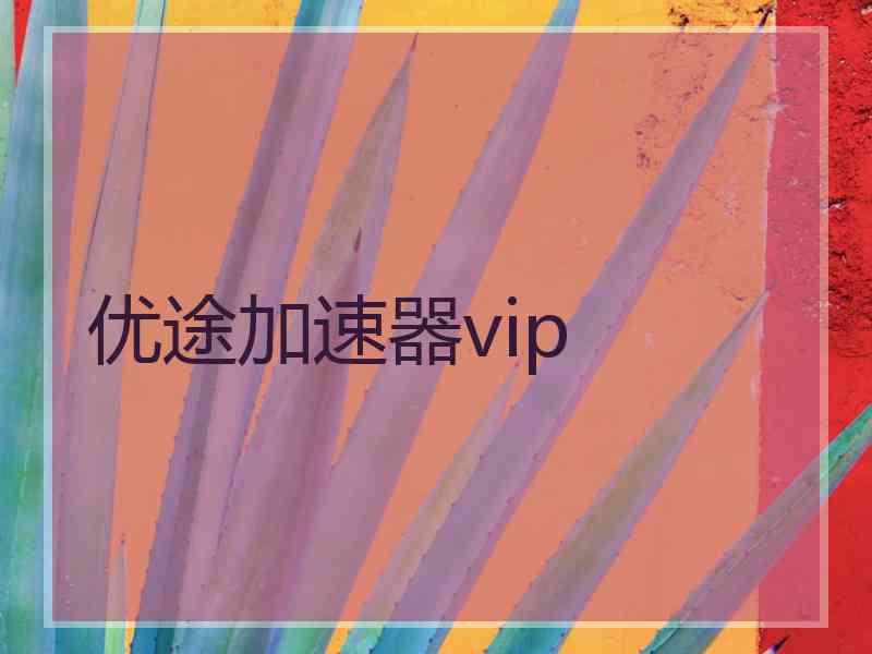 优途加速器vip