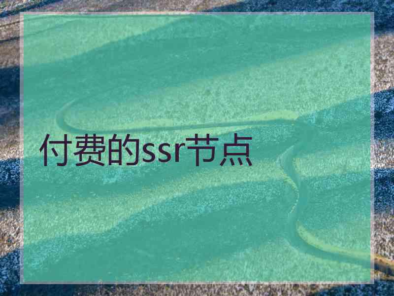 付费的ssr节点