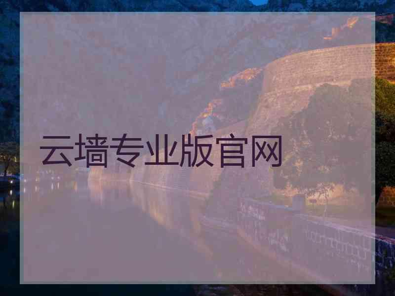 云墙专业版官网