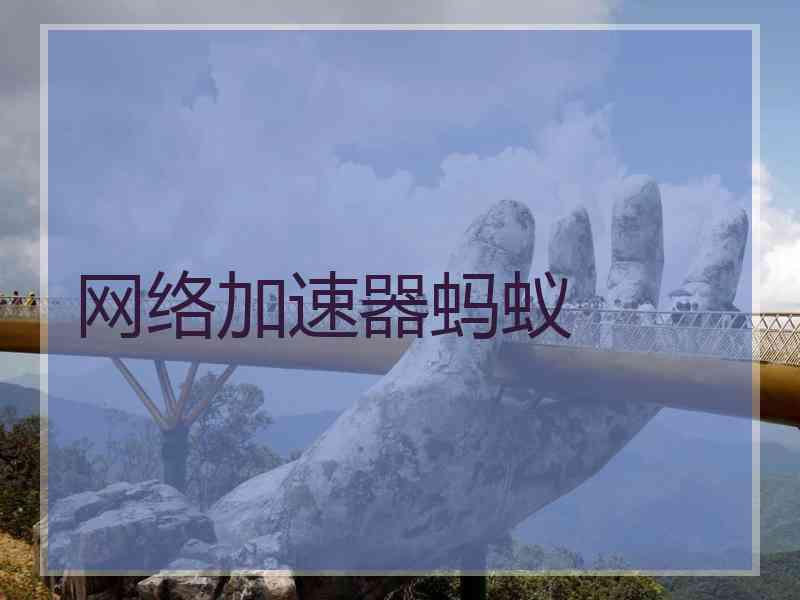 网络加速器蚂蚁