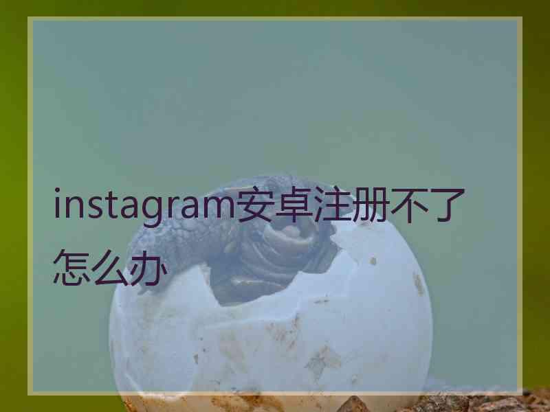 instagram安卓注册不了怎么办