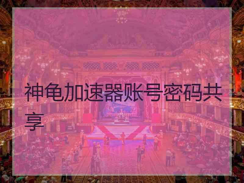 神龟加速器账号密码共享