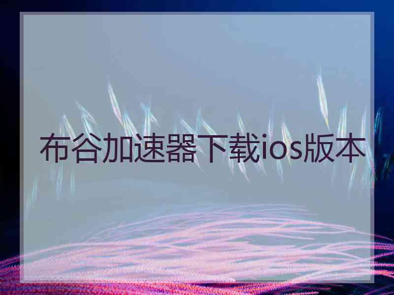 布谷加速器下载ios版本