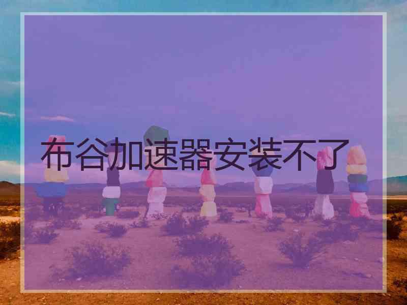 布谷加速器安装不了