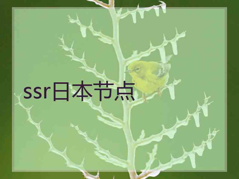 ssr日本节点