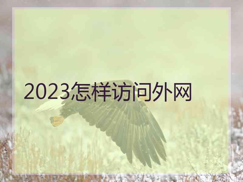 2023怎样访问外网
