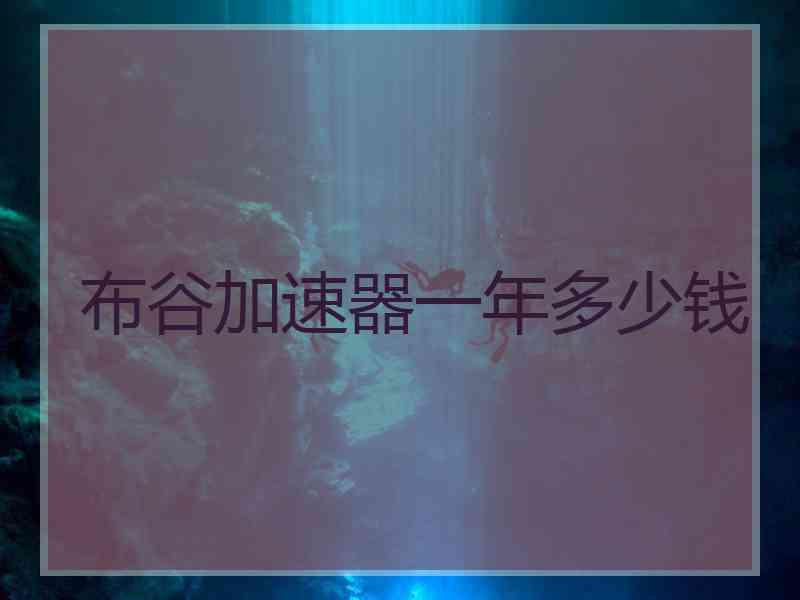布谷加速器一年多少钱