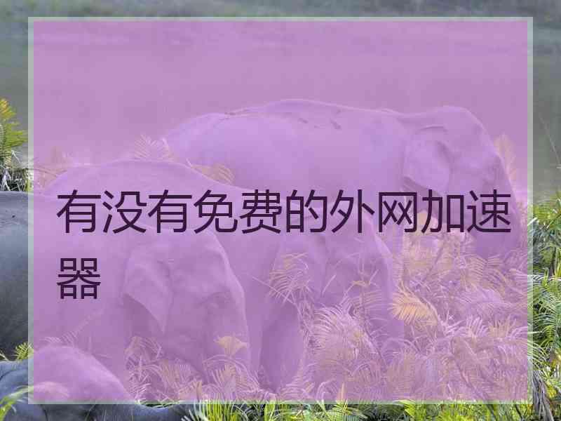有没有免费的外网加速器