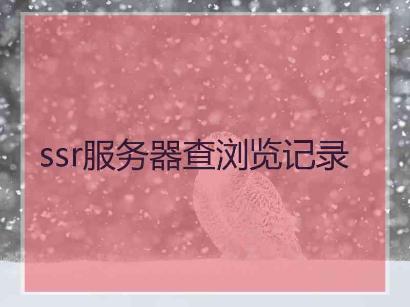 ssr服务器查浏览记录