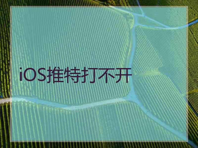iOS推特打不开