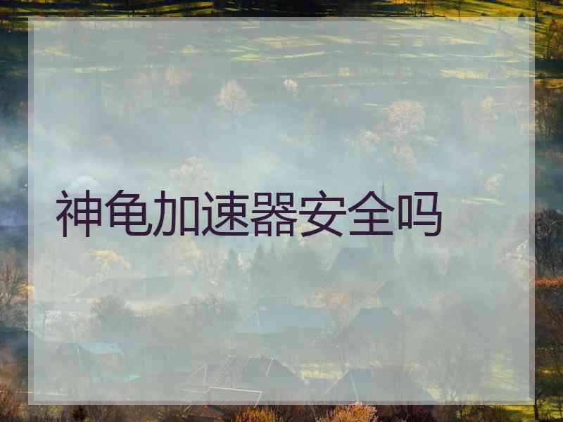 神龟加速器安全吗