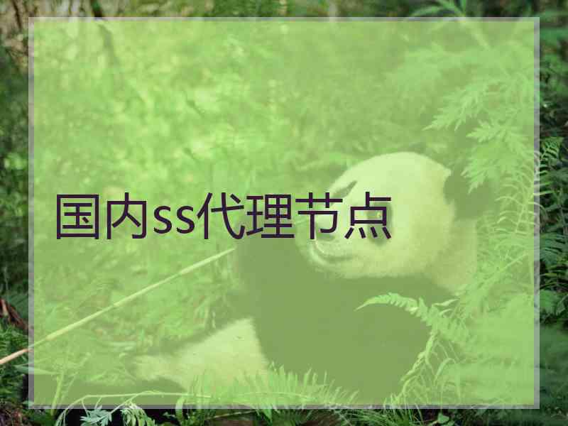 国内ss代理节点