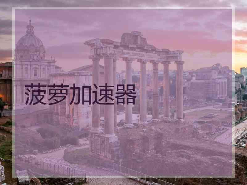 菠萝加速器