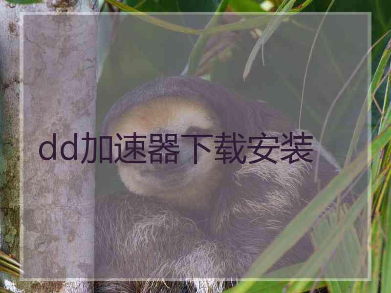 dd加速器下载安装