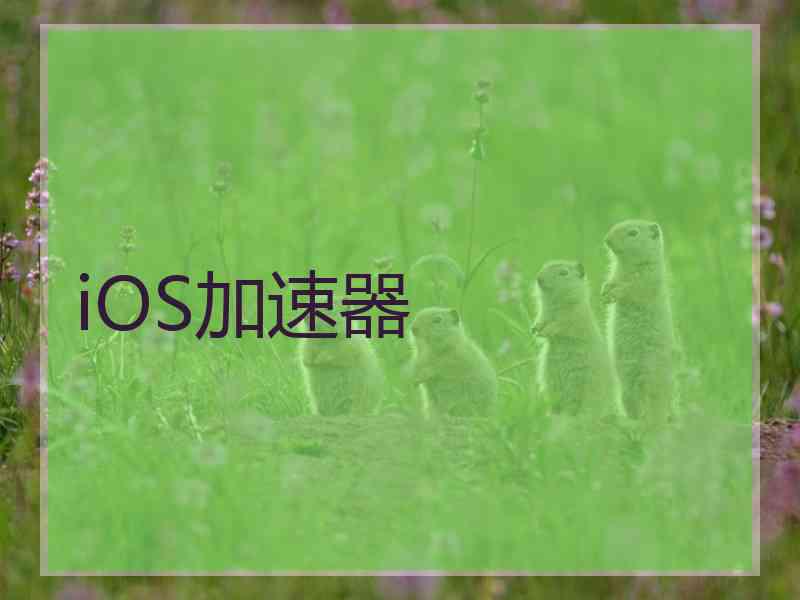 iOS加速器