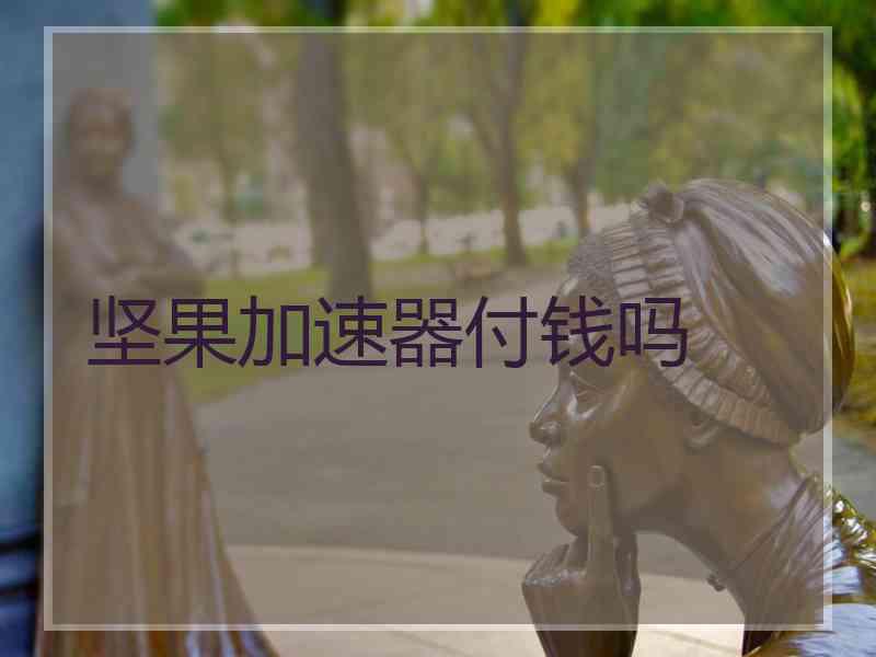 坚果加速器付钱吗