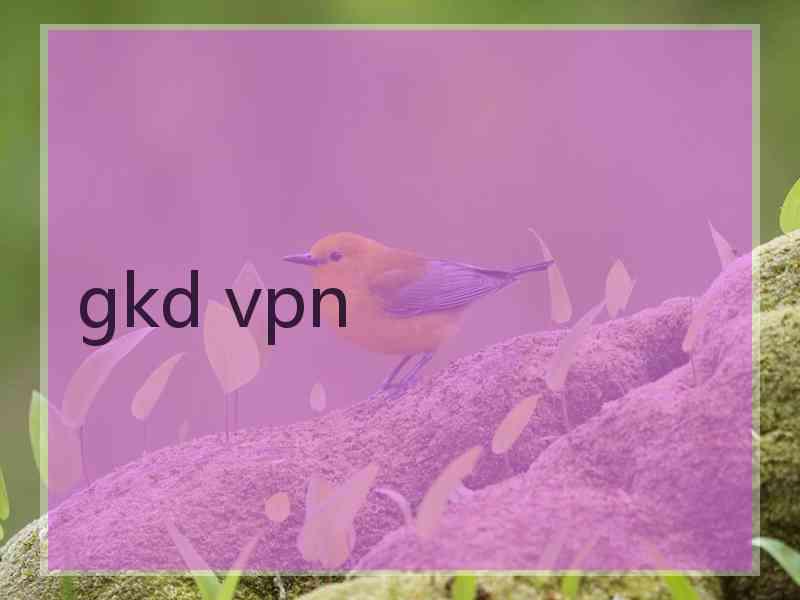 gkd vpn