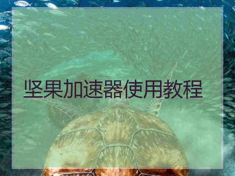 坚果加速器使用教程