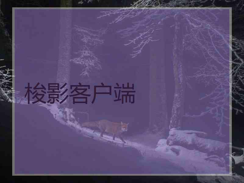 梭影客户端
