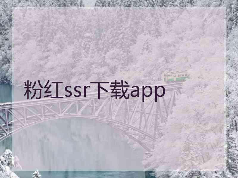 粉红ssr下载app
