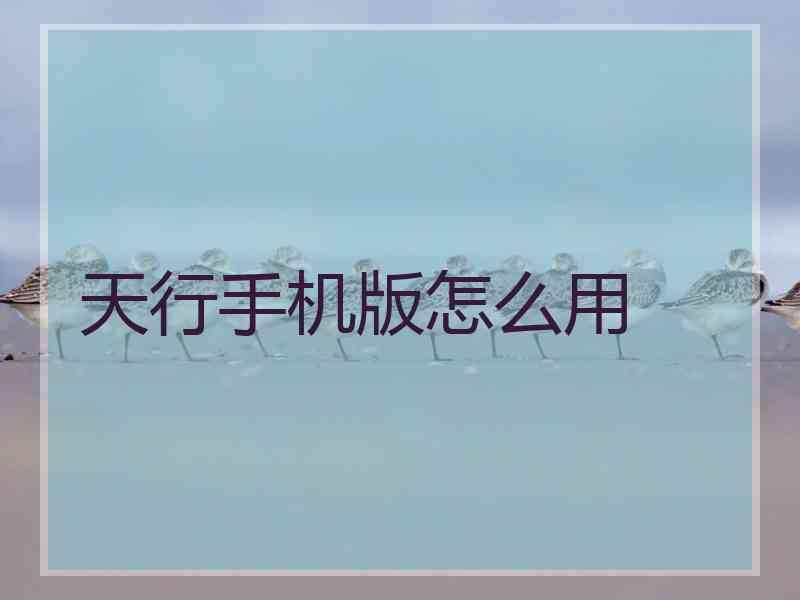 天行手机版怎么用