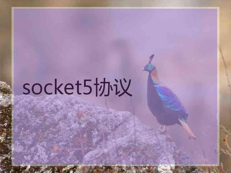 socket5协议