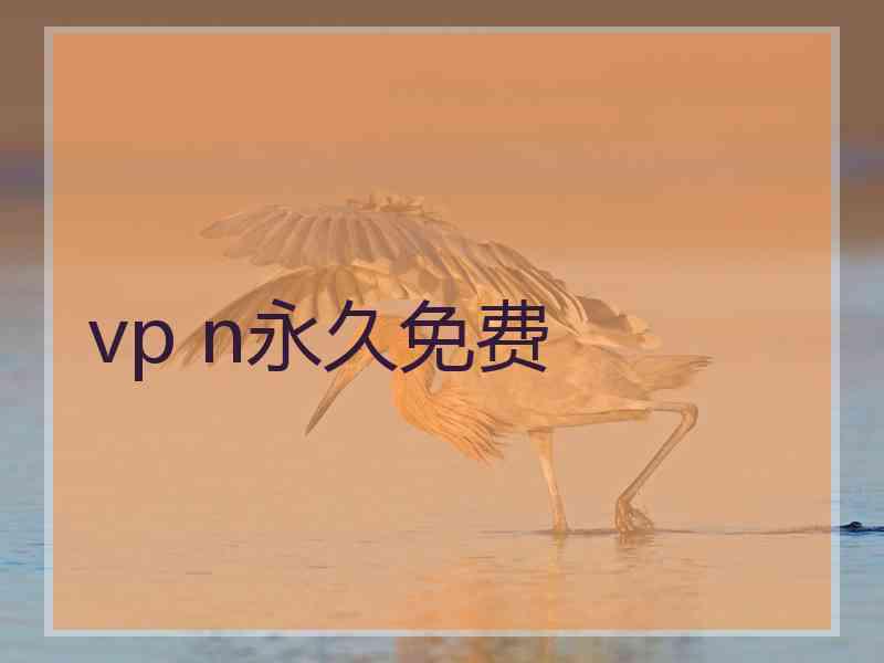 vp n永久免费