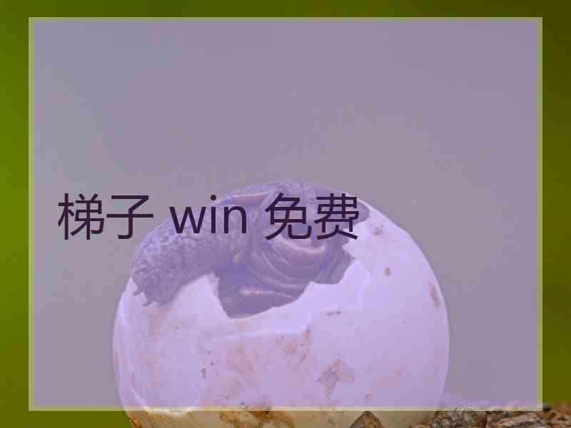 梯子 win 免费