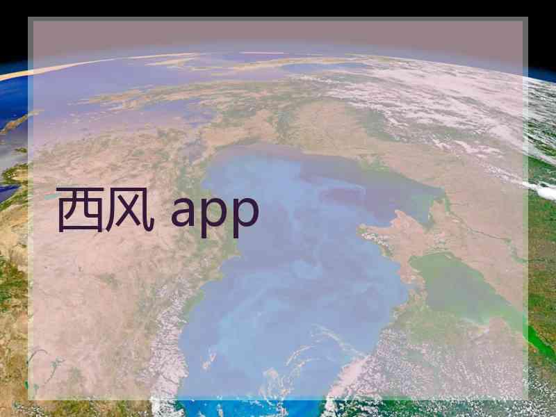 西风 app