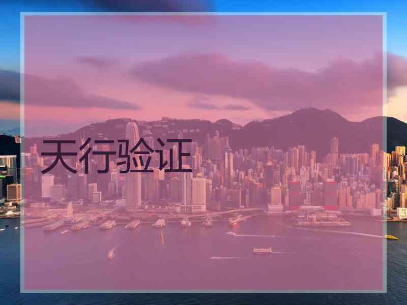 天行验证