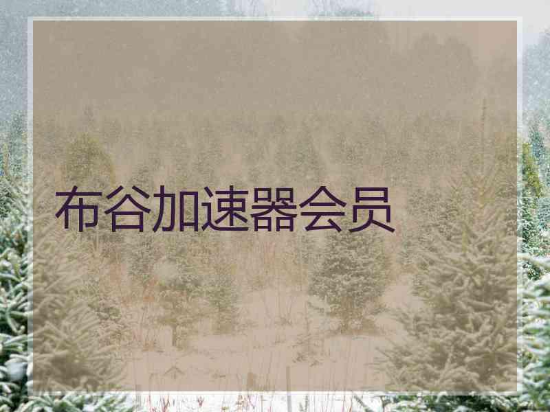 布谷加速器会员
