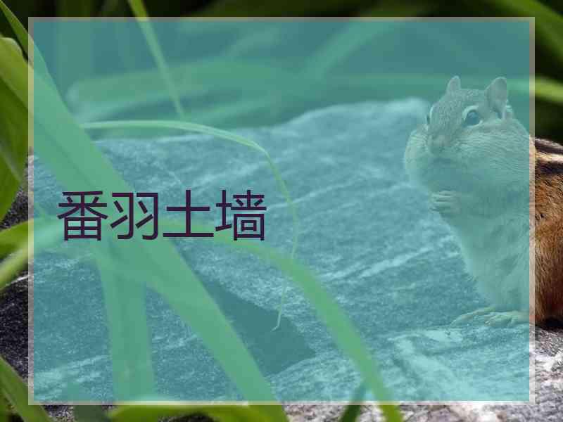 番羽土墙