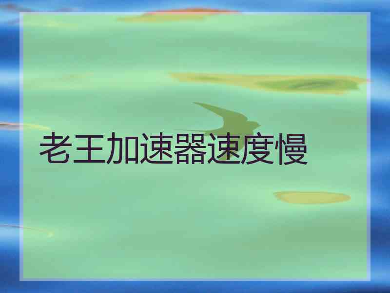 老王加速器速度慢