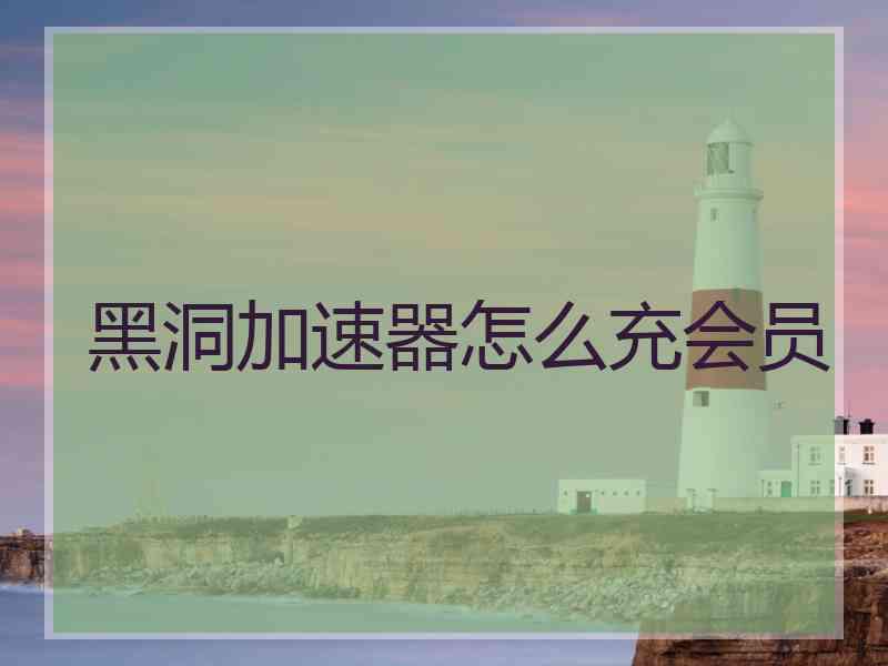 黑洞加速器怎么充会员