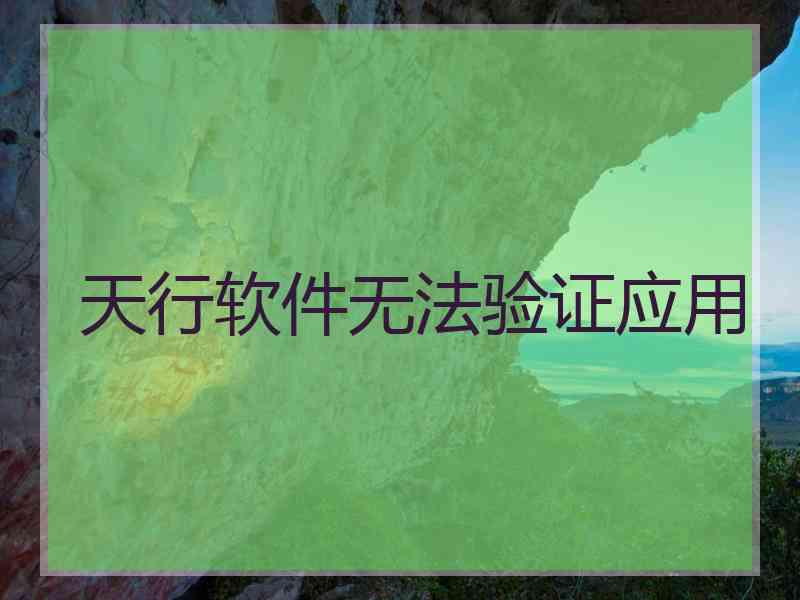 天行软件无法验证应用