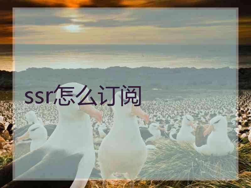 ssr怎么订阅