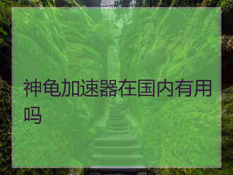 神龟加速器在国内有用吗
