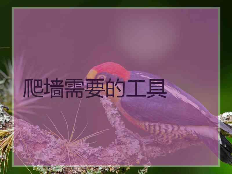 爬墙需要的工具
