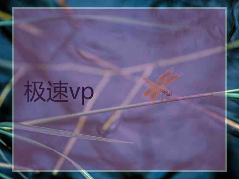 极速vp