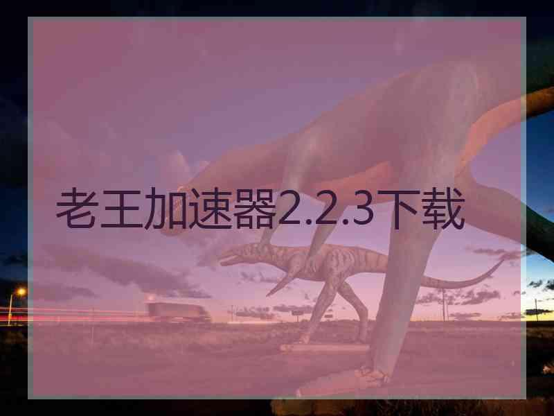 老王加速器2.2.3下载