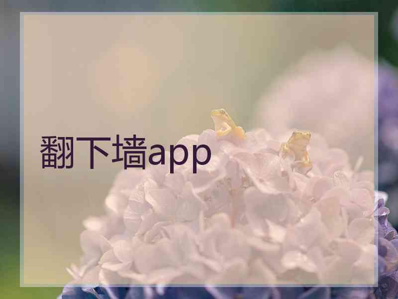 翻下墙app